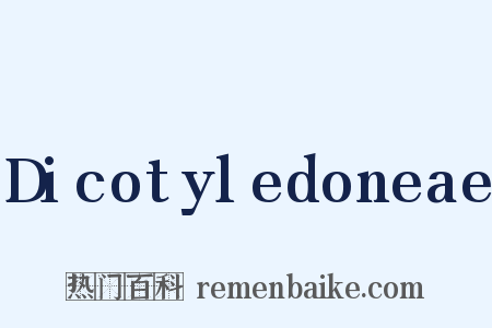 Dicotyledoneae是什么意思的图片